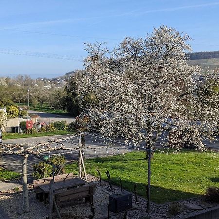 Weingut Harald Ludwig Apartman Osann-Monzel Kültér fotó