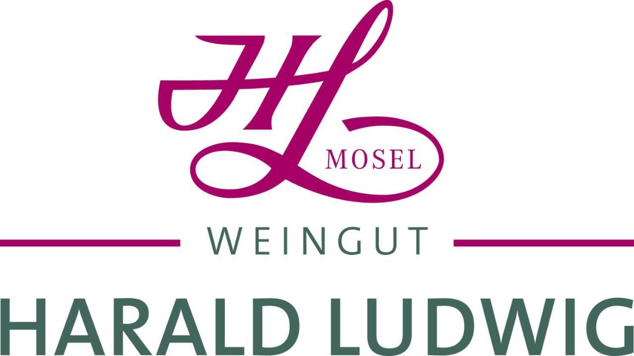 Weingut Harald Ludwig Apartman Osann-Monzel Kültér fotó