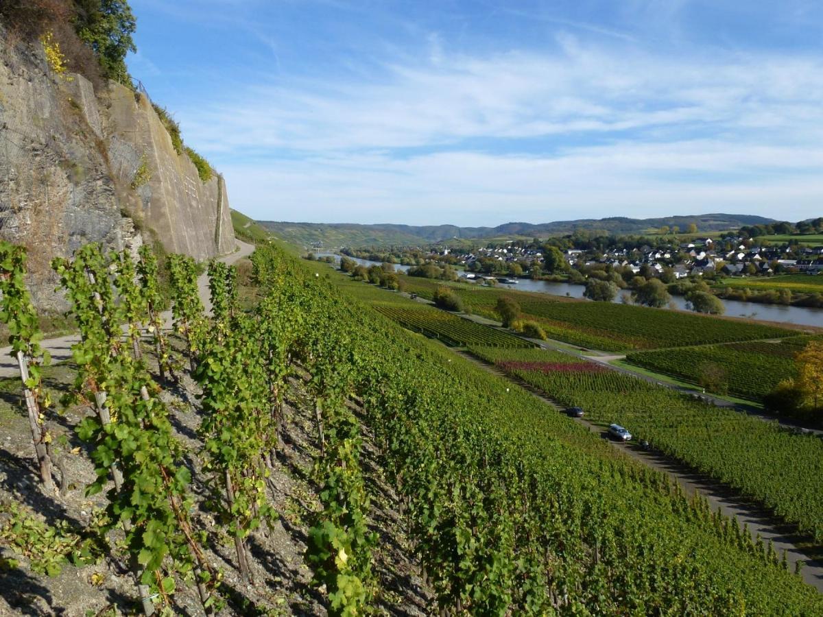 Weingut Harald Ludwig Apartman Osann-Monzel Kültér fotó