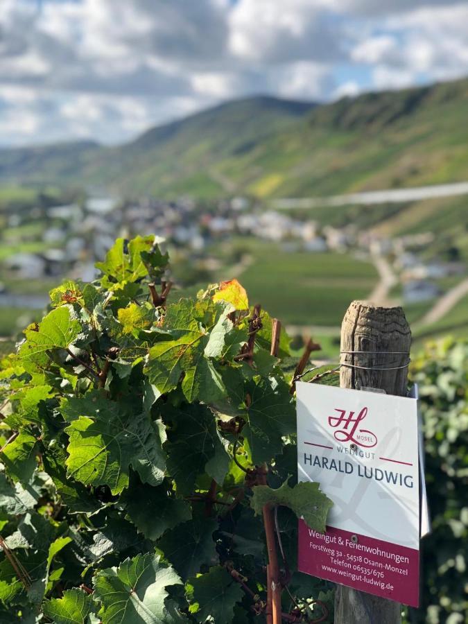 Weingut Harald Ludwig Apartman Osann-Monzel Kültér fotó