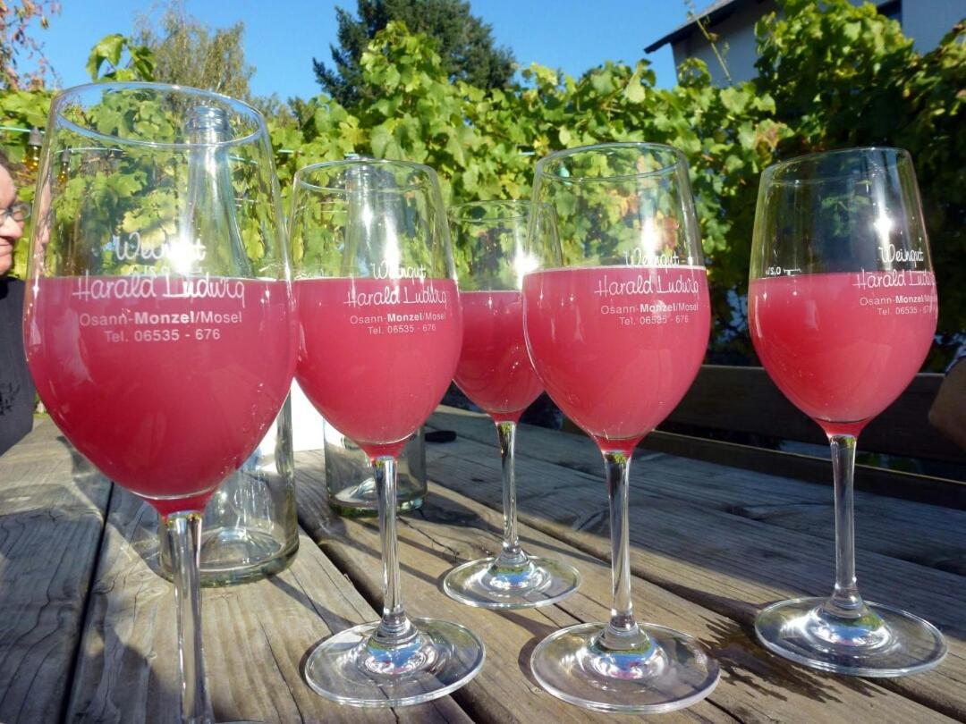 Weingut Harald Ludwig Apartman Osann-Monzel Kültér fotó