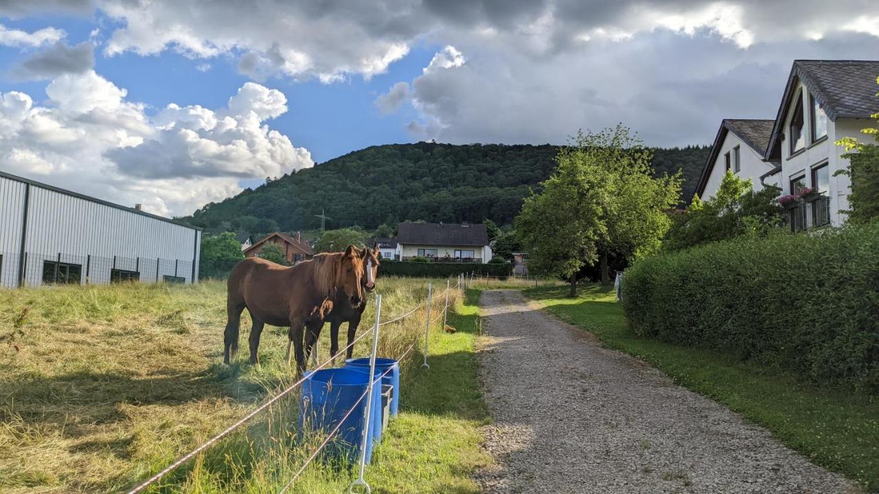 Weingut Harald Ludwig Apartman Osann-Monzel Kültér fotó