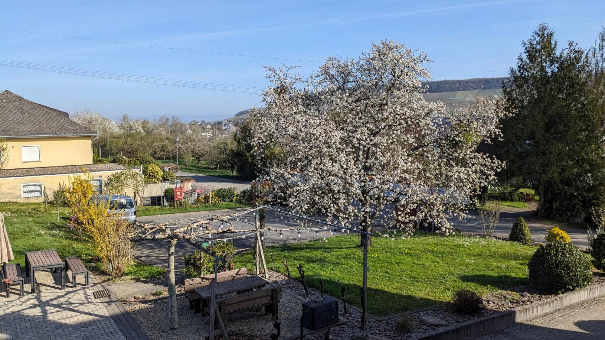 Weingut Harald Ludwig Apartman Osann-Monzel Kültér fotó
